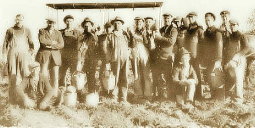 Faculty prepares to celebrate Potato Day 2012