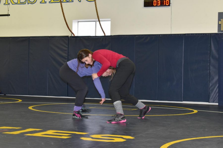 Women’s wrestling a first for Wisconsin